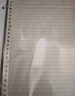 国誉(KOKUYO)淡彩曲奇B5活页本Campus笔记本子活页纸替换芯精美5色索引分隔页 40张 透明 WSG-RUCP11NT 实拍图