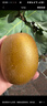 佳沛（zespri）新西兰  阳光金奇异果10粒礼盒巨大果单果约144-175g 水果 猕猴桃 实拍图