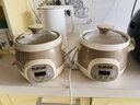 苏泊尔（SUPOR）电炖锅电炖盅 煲汤锅炖汤锅 燕窝炖盅 煮粥神器 电汤锅 电煮锅 婴儿辅食锅DG15YC818 1.5L多功能锅 实拍图