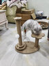 HELLOJOY猫抓板猫爬架一体耐磨不掉屑剑麻抓柱耐抓逗猫棒猫咪玩具自嗨解闷 实拍图