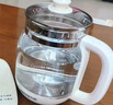九阳（Joyoung）0胶水养生壶玻璃花茶壶可拆卸茶篮 定制12大功能 煮茶器电热烧水壶1.5L WY155 实拍图