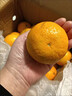 柏馋广西沃柑新鲜纯甜橘子当季时令水果桔子柑橘应季整箱正宗当季 精选9斤净重8.5斤 特大果70mm+ 实拍图