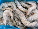 鲜京采 厄瓜多尔白虾 净重3斤/盒 特大号20-30规格   30-45只/盒 实拍图