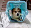 华元宠具（hoopet）猫咪航空箱猫包外出便携猫笼子猫箱狗狗托运箱车载狗笼宠物专用箱 【天蓝色】大号带天窗-建议25斤 实拍图