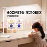美的（Midea）AAAAA级护眼台灯全光谱阅读灯路灯全桌面长臂屏幕灯无界L3 60CM 实拍图