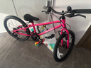 途锐达铝合金超轻儿童自行车6-12岁女孩脚踏车小学生女童单车20寸蔷薇粉 实拍图