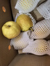 京鲜生 新疆库尔勒香梨 净重10斤 特级 单果120g以上 生鲜水果 实拍图