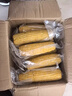 十月稻田 黑糯玉米 3.52斤(220g*8根) 东北甜黏玉米棒 早餐苞米 低脂代餐 实拍图
