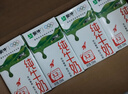 蒙牛全脂纯牛奶250ml*16盒 牛奶送礼盒装 电商定制 部分地区8月 实拍图