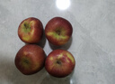 京鲜生 甘肃天水花牛苹果 又大又红 净重4斤 单果160g起  新鲜水果  实拍图