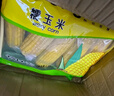 东北农嫂糯玉米甜糯香粘真空装黏玉米棒吉林产低脂主食可选有机 【爆款推荐】黄糯礼盒1.6kg约8根 实拍图