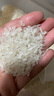 花中花 珍珠香米  东北大米 家庭装20斤 当季新米 现磨粳米真空包装 实拍图