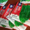 孔雀菜紫叶生菜不打药不生虫生吃脆甜高营养直立生菜四季播生菜 正品甜脆油麦菜种子约7500粒5包 实拍图