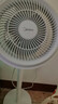 美的（Midea）【暴风循环】空气循环扇大风量摇头电风扇家用台式落地扇轻音卧室节能小风扇柔风轻羽扇 FGA24TQ 实拍图