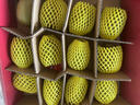 佳沛（zespri）新西兰 阳光金奇异果12粒礼盒特大果单果约122-146g 猕猴桃 水果 实拍图