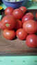 西红柿水果沙瓤番茄多汁新鲜蔬菜生鲜减肥减脂可生吃 西红柿 4斤 家庭装 实拍图