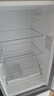 上菱183升双开门冰箱小型出租房2-3人用 出租屋家用两门二门小户型双门电冰箱以旧换新BCD-183D 实拍图