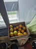 褚橙 云南冰糖橙  特级果 XL10斤装 单果约165g起 生鲜水果礼盒 晒单实拍图