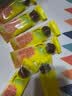 【特价】秋梨膏棒棒糖正宗网红小零食儿童硬糖果批发独立包装休闲 梨膏棒棒糖15支 实拍图