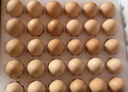 京鲜生可生食标准鲜鸡蛋30枚礼盒装3斤 源头直发 实拍图