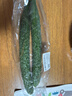 长黄瓜约600g 实拍图
