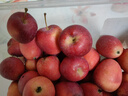 酷奇象 东北鸡心果【顺丰多地次日达-配送上门】小苹果沙果海棠果中秋礼 净重3斤精选大果【10-12枚/斤】 精选装【80%客户选择-超划算】 实拍图