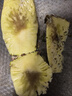 广东徐闻香水菠萝新鲜水果生鲜热带孕妇水果整箱包邮 【限时低价】1个装  单果650g起 实拍图