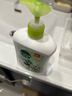 滴露（Dettol）洗手液茉莉绿茶清香500g*2 儿童洗手液家庭抑菌消毒 迪士尼 实拍图