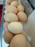 CP 正大 鲜鸡蛋礼盒装30枚 Plus联名款 3.18斤 源头直发 实拍图