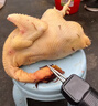 三个小厨全自动家禽拔毛器电动去鸡鸭鹅毛神器多功能防水充电加商用脱毛机 大功率至尊款/耐磨锥头/快速拔毛 实拍图