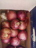 京鲜生 甘肃紫红皮洋葱净重5斤单果200g+ 现挖新鲜蔬菜 源头直发包邮 实拍图