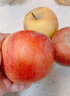 京鲜生 新疆阿克苏苹果 净重9斤 果径80-85mm 新鲜水果 实拍图