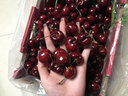 三萌果蔬智利车厘子【JD/顺丰-多地次日达】新鲜进口大樱桃高端水果礼盒 1.8斤(净重) 【80%选择】精美礼盒 【黑钻级】巨无霸 3J 单果30-32mm 店长力荐 实拍图