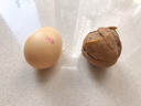 无菌蛋可生食鸡蛋 45g-50g/枚 溏心蛋 早餐生鲜超市 买菜京东包邮 可生食30枚 实拍图