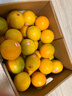 褚橙 云南冰糖橙  优级果 L 10斤装 单果约130g起 生鲜水果礼盒 实拍图