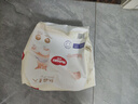 安儿乐（Anerle）薄薄小轻芯拉拉裤XXXL14片(18kg以上)  透气mini装(新老品交替) 实拍图