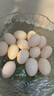 均鲜新鲜土鸽子蛋杂粮喂养农家特产白鸽蛋信鸽蛋孕妇宝宝年货节礼盒装 30枚610g左右精选鲜鸽蛋 实拍图