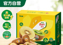 佳沛（zespri）新西兰  阳光金奇异果6粒装 单果约77-103g  源头直发  猕猴桃 实拍图