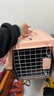獒少保【带挂碗+垫板】宠物航空箱大号狗猫托运箱猫咪狗狗航空箱运输箱 一号 建议12斤以内 实拍图