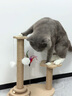 HELLOJOY猫抓板猫爬架一体耐磨不掉屑剑麻抓柱耐抓逗猫棒猫咪玩具自嗨解闷 实拍图
