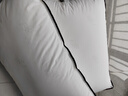 水星家纺枕头枕芯酒店枕头护颈枕头芯家用一对纯棉抗菌可水洗高枕48x74cm 实拍图
