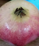京鲜生突尼斯软籽石榴特大果 9粒礼盒装 单果400g+水果 新鲜礼盒 实拍图