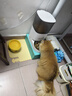 霍曼（Homerun）Real智能自动喂食器猫粮狗粮定时猫咪自动投食机（不锈钢碗） 实拍图