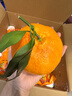 【顺丰】四川眉山甘平柑橘皇后孕妇新鲜水果纯甜小金牛桔子耙耙柑 净重8斤（新鲜带枝叶发货） 精选一级巨无霸（单果350g以上） 实拍图