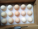 京鲜生可生食标准鲜鸡蛋30枚礼盒装3斤 源头直发 实拍图