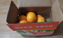 蟠橙园 江西赣南脐橙当季新鲜橙子水果现摘皮薄多汁手剥无核礼盒团购 净重4.5斤单果150g+【30%人选】 实拍图