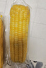 京鲜生 东北黄玉米260g*10棒 真空包装黏玉米棒粘玉米 源头直发 实拍图