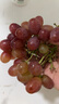 京愿【顺丰速运】山西克伦生红提新鲜脆甜提子克瑞森葡萄新鲜水果生鲜 【份大量足】精选净重5斤装 实拍图