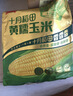 十月稻田 黄糯玉米 3.52斤(220g*8根) 东北粘苞米 早餐零食 蛇年限定 实拍图