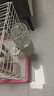 洁西 宠物自动饮水器绿色兔子水壶大容量水盆龙猫金丝熊自动续水600ml 实拍图
